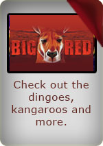 Play Big Red Online